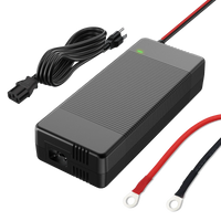 Humsienk 12V 20A AC-DC LiFePO4 Battery Charger