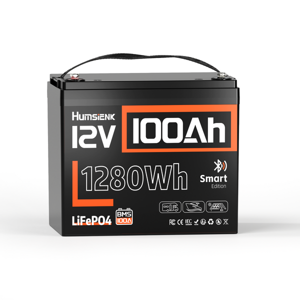 12V 100Ah Group 24 Bluetooth LiFePO4 Battery with 100A BMS