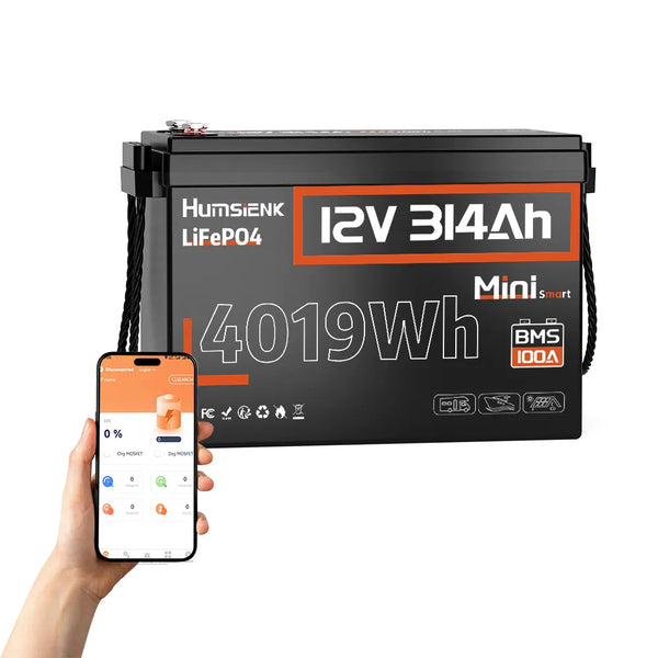 12V 314Ah Mini Bluetooth LiFePO4 Battery with 100A BMS